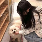 龙城战域手游